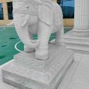 淮北 白麻花岗岩动物异形石雕-大象